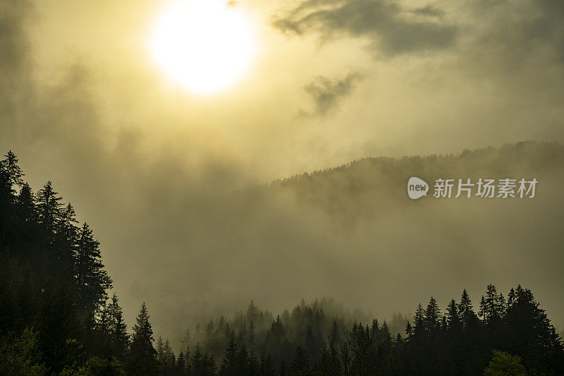 春天在Zgornje Jezersko山谷森林上空的云层